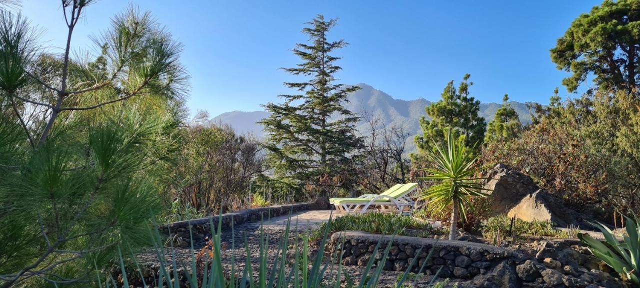 Villa Casa Piedras Blancas With Private Garden à El Paso Extérieur photo